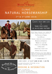 Natural Horsemanship Workshop